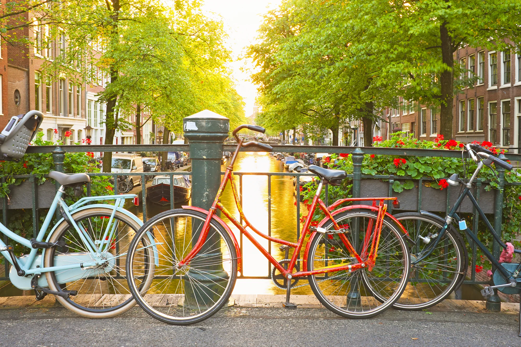 Výlet do Amsterdamu: prohlídka města, muzea, sýrárna i plavba po kanálech
