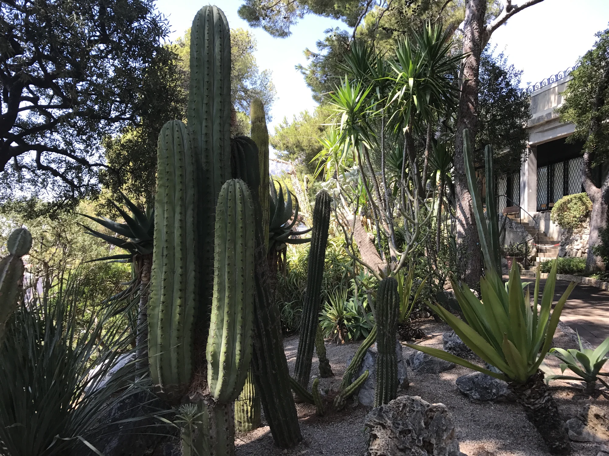 Poznávací zájezd za krásami Francouzské riviéry: Nice, St. Tropéz i Monako, autobusem na 2 noci