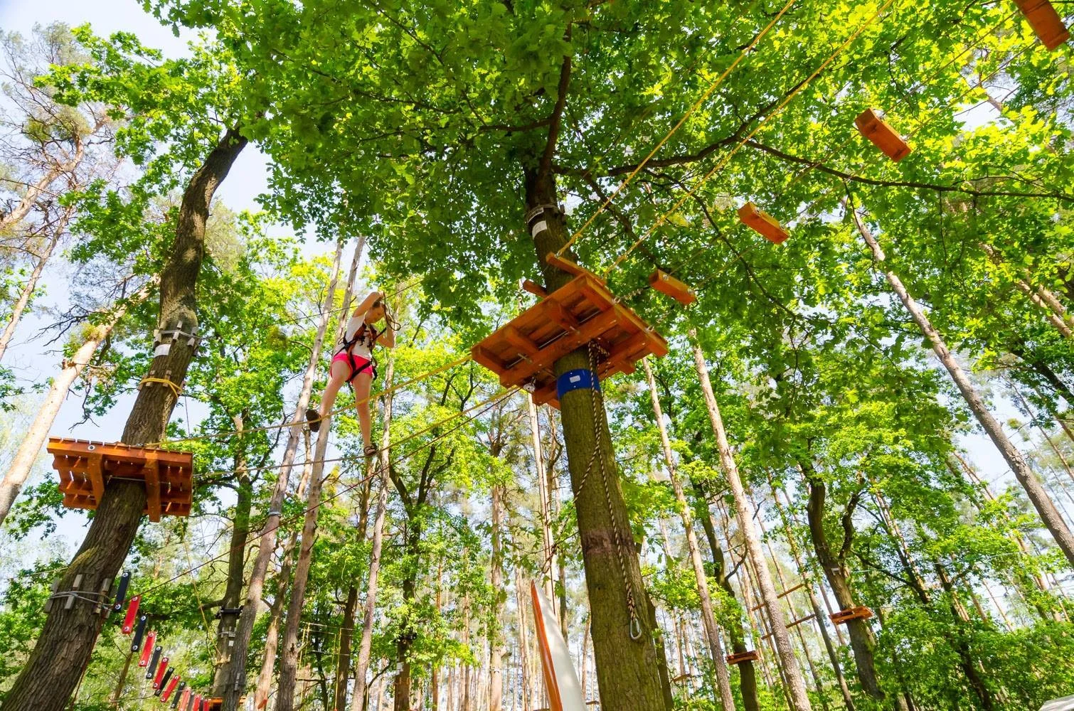 Netradiční relax v Českém ráji: domek na stromě pro 2–4 os. a zapůjčení loďky i možnost snídaňového koše
