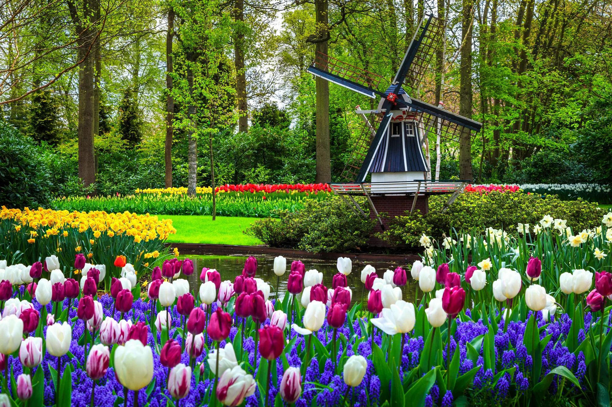 Do Holandska z Moravy: rozkvetlý park Keukenhof, květinové korzo i návštěva Amsterdamu