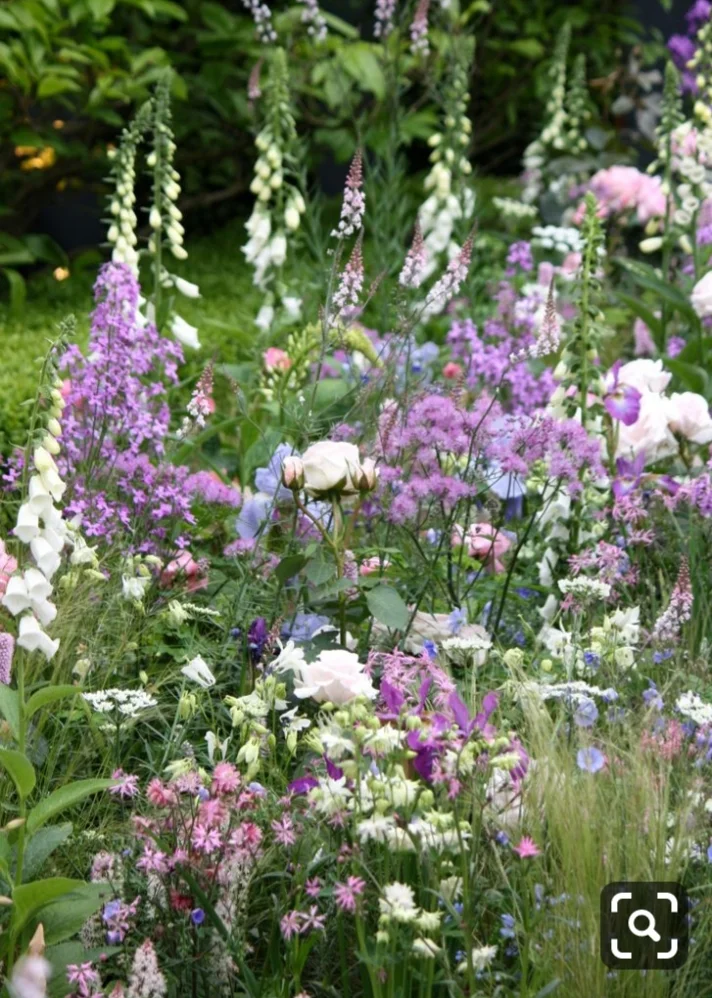 Zkrášlení zahrady v Praze a okolí: 90 min. odborné konzultace na místě