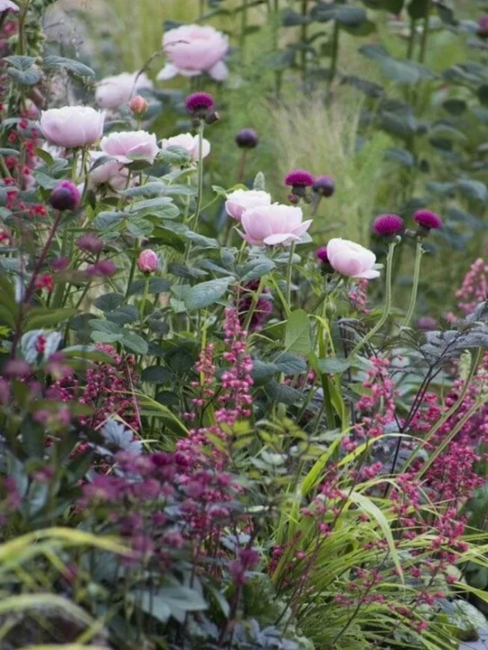 Zkrášlení zahrady v Praze a okolí: 90 min. odborné konzultace na místě
