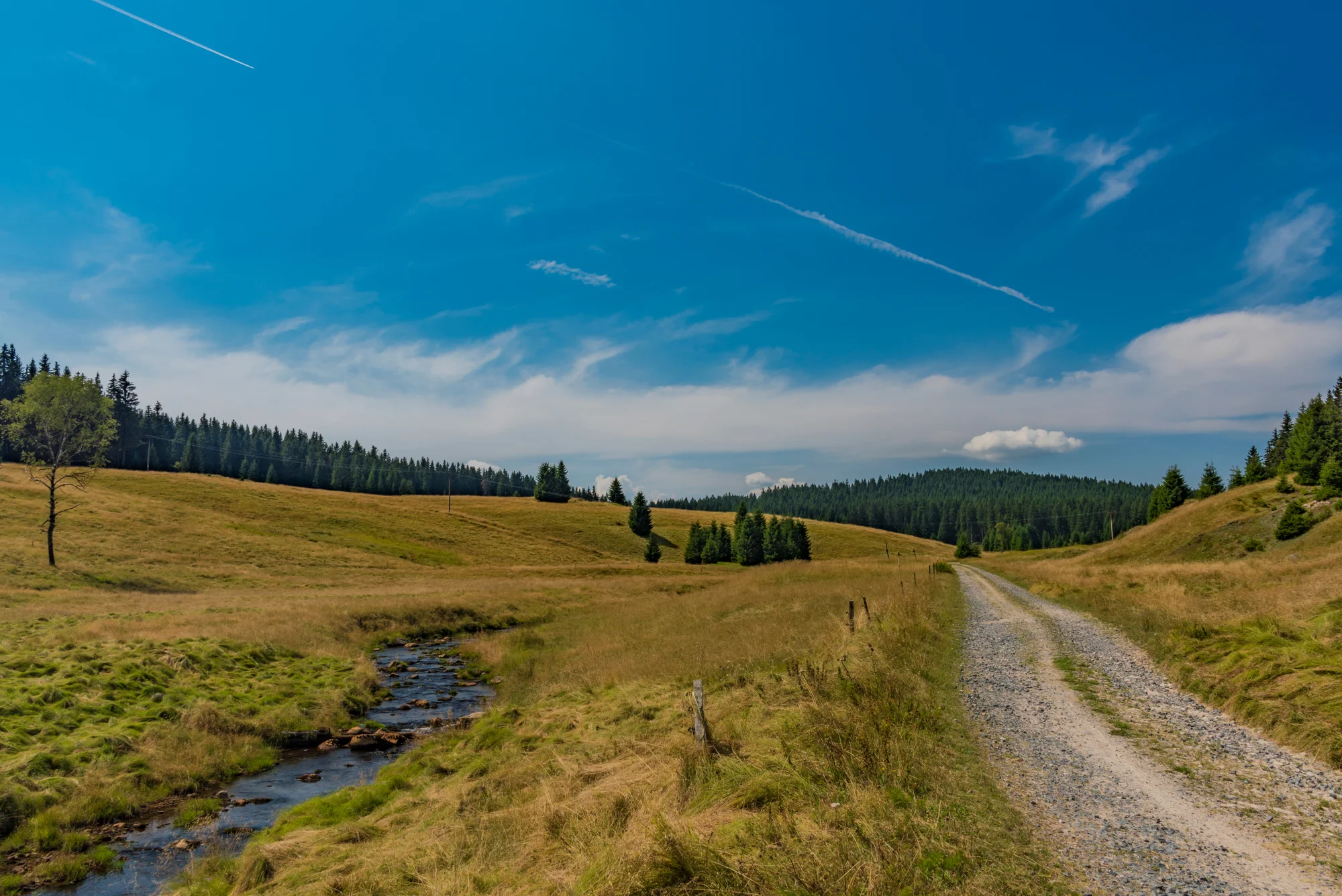 Aktivní dovolená s polopenzí nebo plnou penzí a saunou v Krušných horách