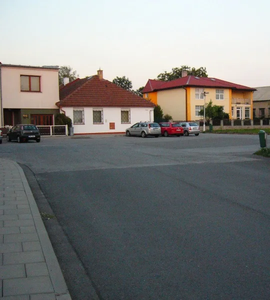 Masáž dle výběru: thajská tlaková, liftingová i reflexní vč. měkké techniky