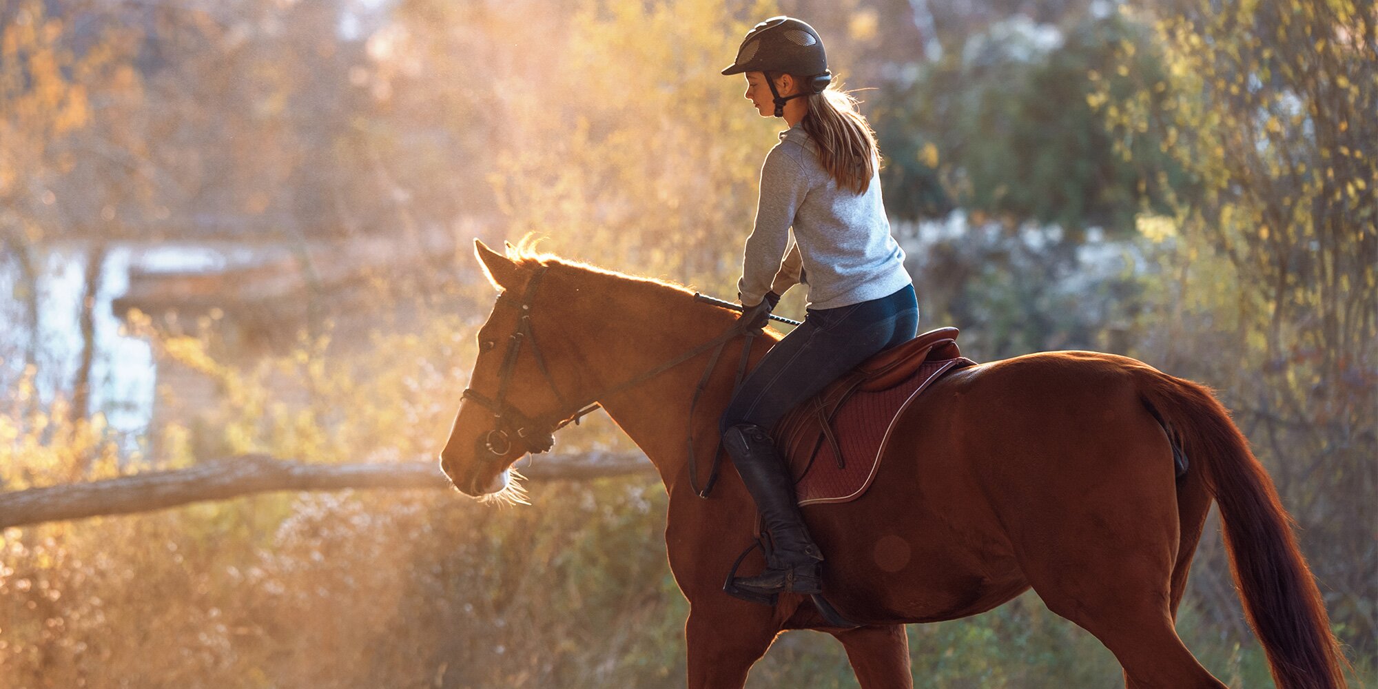 Girl riding guy. Девушка на коне. Девушка с лошадью. Верховая езда девушки. Аватар девушки лошади.