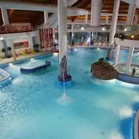 Wellness Patince
