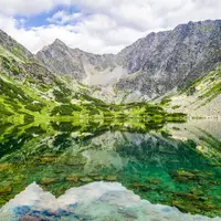 Temnosmrečinské plesá