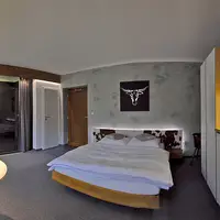 Apartmán Domestic (24 m²)