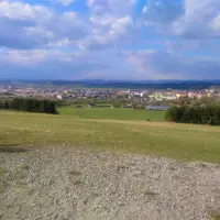 Pieskovec