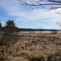 Naturpark Heidenreichsteiner Moor