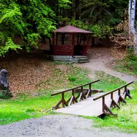 Z Mariánských Lázní k Medvědímu prameni