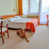 Apartman Standard s terasou (pet friendly) (26 m²)