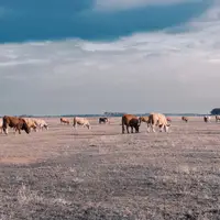 Národní park Hortobágy-Puszta