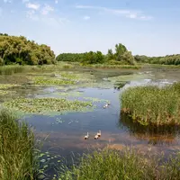 Malý Balaton, Zalakaros