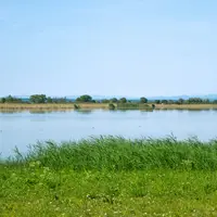 Neziderské jezero (Neusielder see)