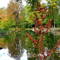 Kámoni arboretum v Szombathely