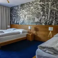 Trojlôžkový apartmán (41 m²)