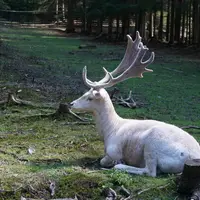 Pašerácká stezka, Zbojnický chodník a obůrka na Bílé