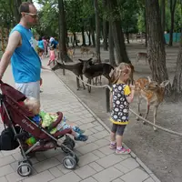 Zoo Xantus János Állatkert v Győru