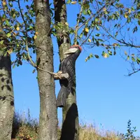 Farmapark Soběhrdy