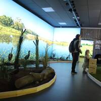 Ornitologická expozice v zemědělském muzeu ve Valticích