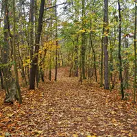 Naučná stezka Máslovice