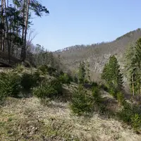 Výlet ke zřícenině hradu Templštýn