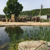 Zoo Praha