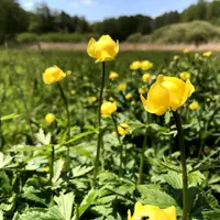 Kokořínsko a zřícenina hradu Pustý zámek