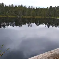 Jezírko je součástí největšího rašeliniště na Moravě.