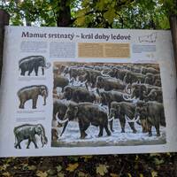 Stezka Lovců mamutů