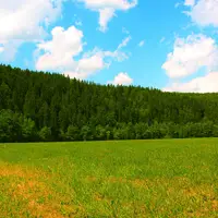 Rabštejn nad Střelou