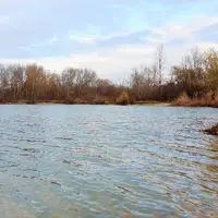 Šúr