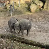 Zoo Praha