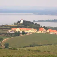 Rozhledna Dalibor