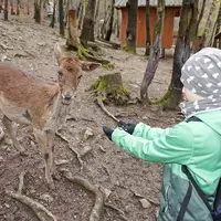 Leśny Park Niespodzianek