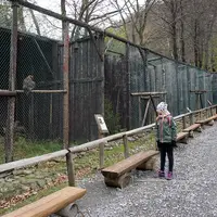 Leśny Park Niespodzianek