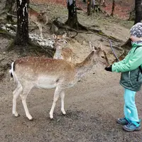 Leśny Park Niespodzianek