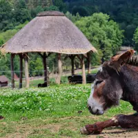 Farmapark Soběhrdy