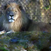 ZOO Salzburg