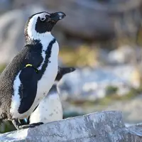 ZOO Salzburg