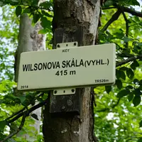 Wilsonova skála