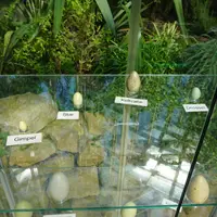 Květinové zahrady Florarium Hirschstetten