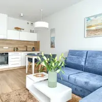 Apartmán Deluxe s 1 ložnicí (45 m²)