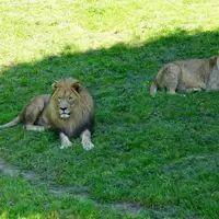 ZOO Salzburg