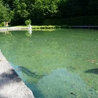 ZOO Salzburg