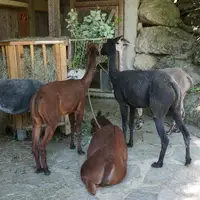 ZOO Salzburg