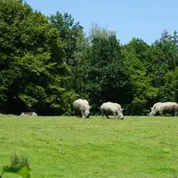 ZOO Salzburg