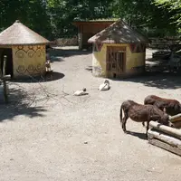 ZOO Salzburg