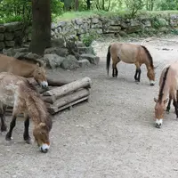 ZOO Salzburg